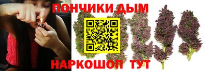 сатива Гатчина