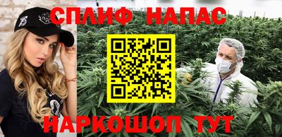 сатива Гатчина
