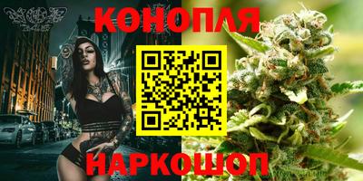 прущая мука Гай