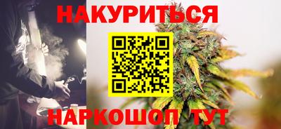 сатива Гатчина