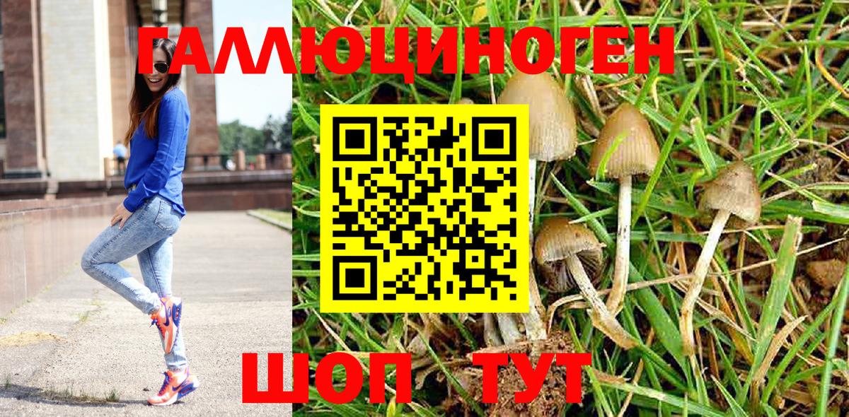 Сухой Лог  Псилоцибиновые грибы MAGIC MUSHROOMS  Вход с VPN 